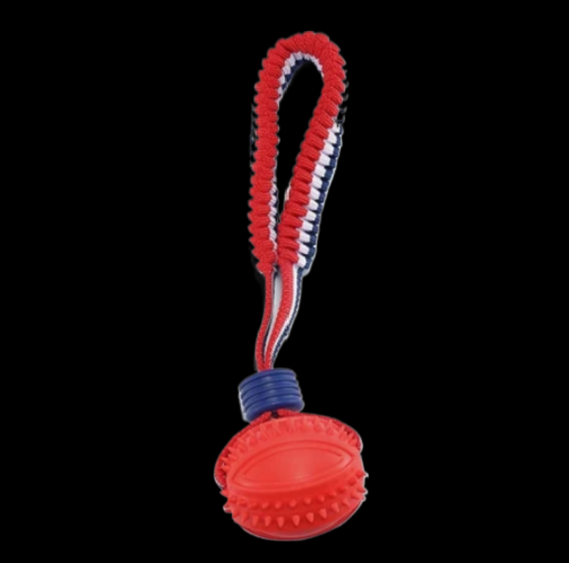 Interactive Dog Chew Ball with Rope