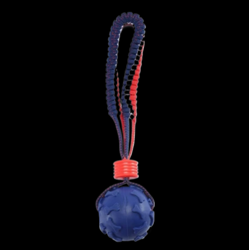 Interactive Dog Chew Ball with Rope