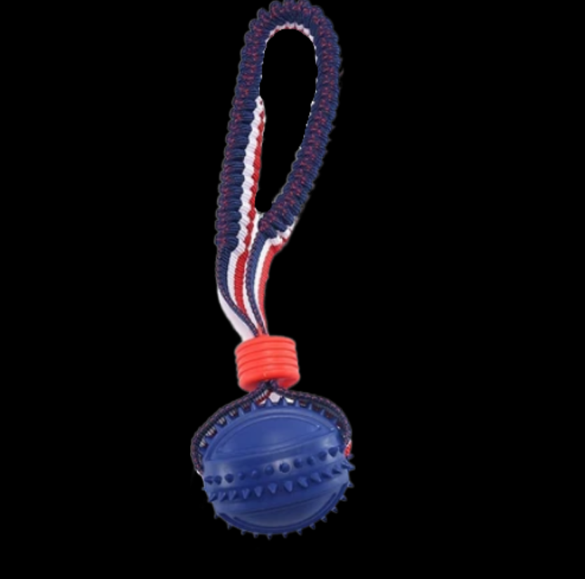 Interactive Dog Chew Ball with Rope